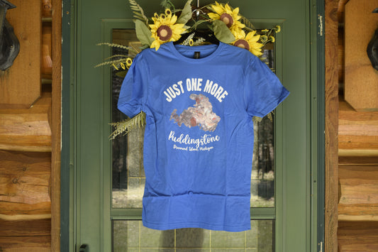 "Just One More Puddingstone" Tee