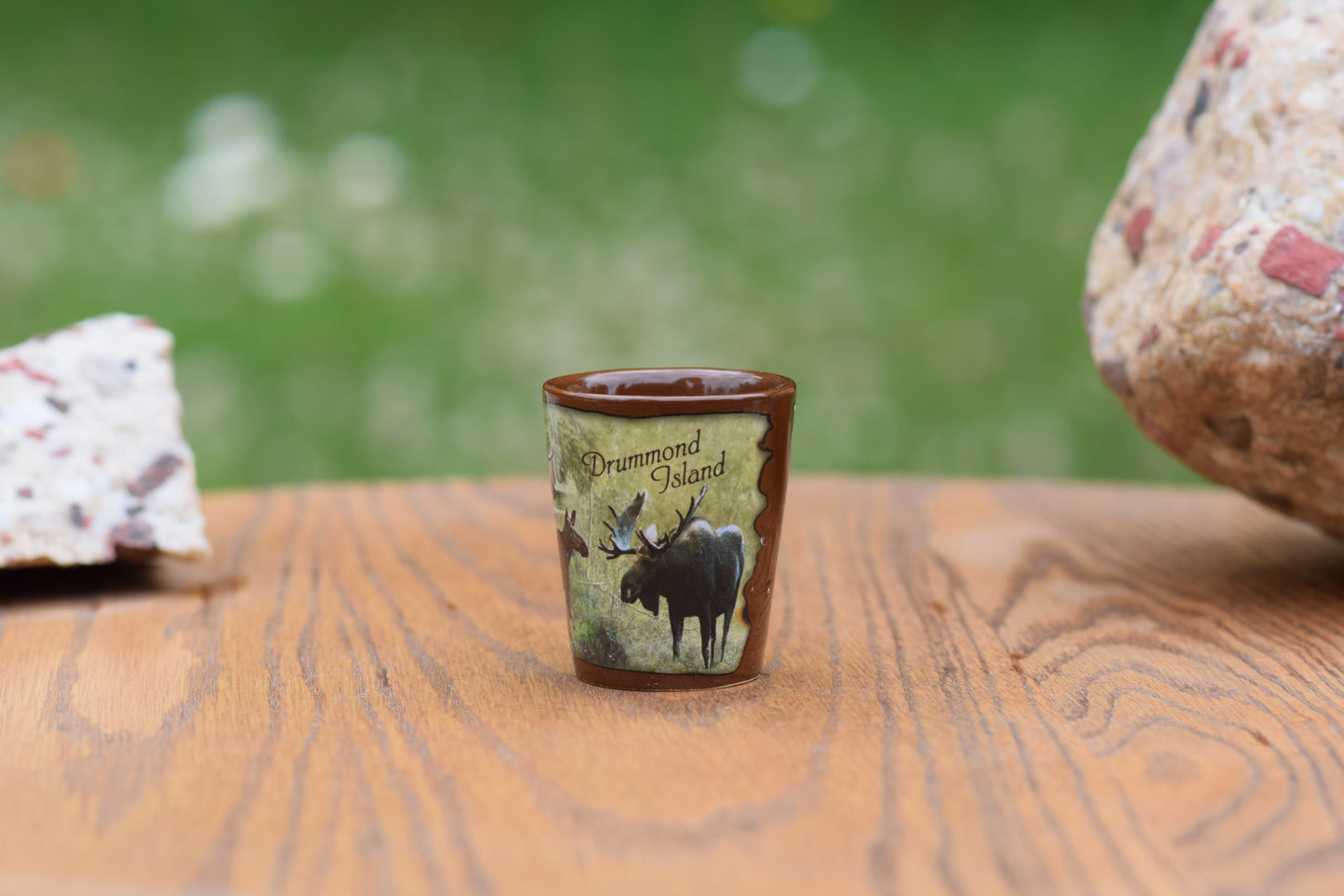 Moose Info Shot Glass