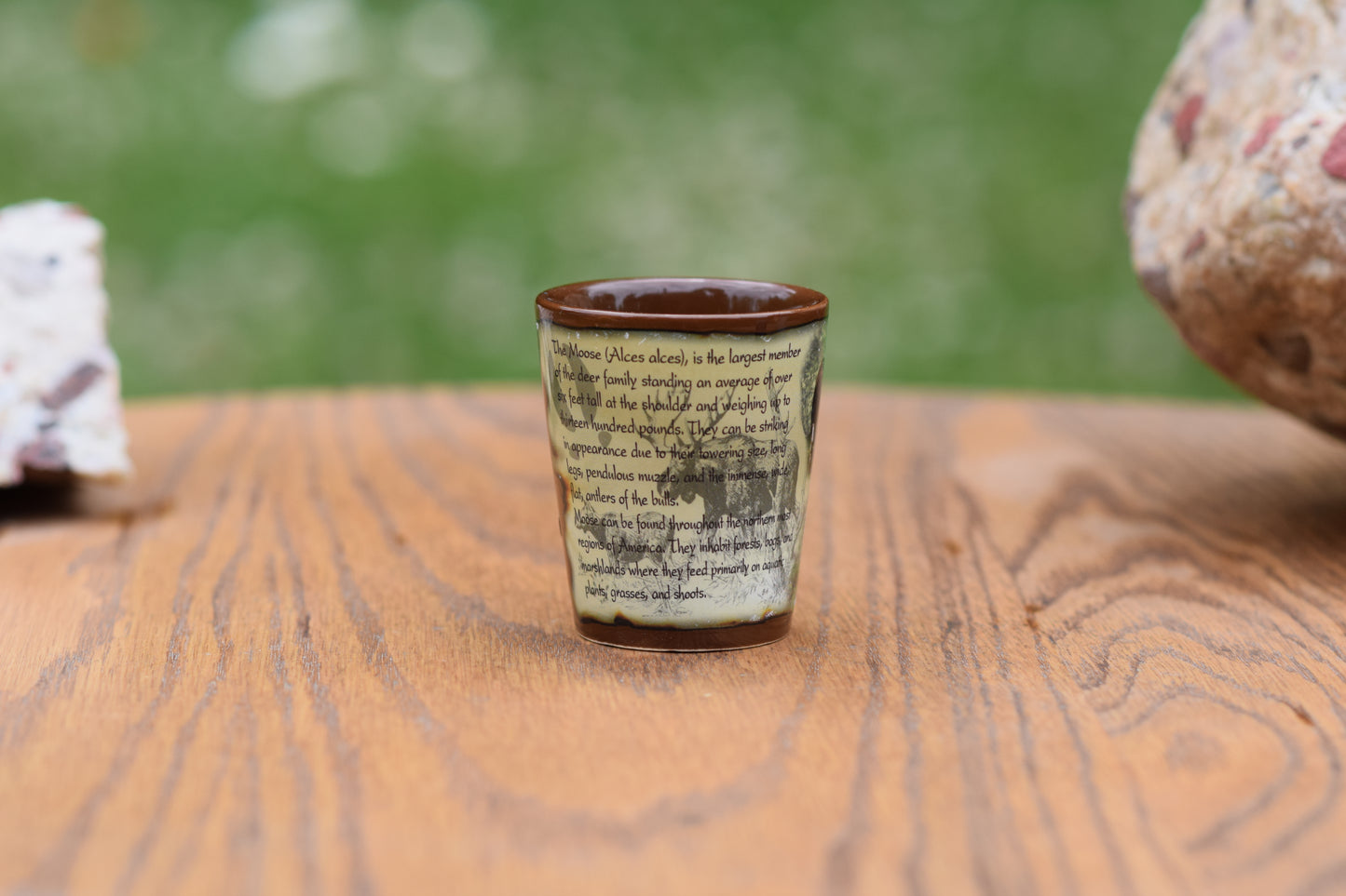 Moose Info Shot Glass