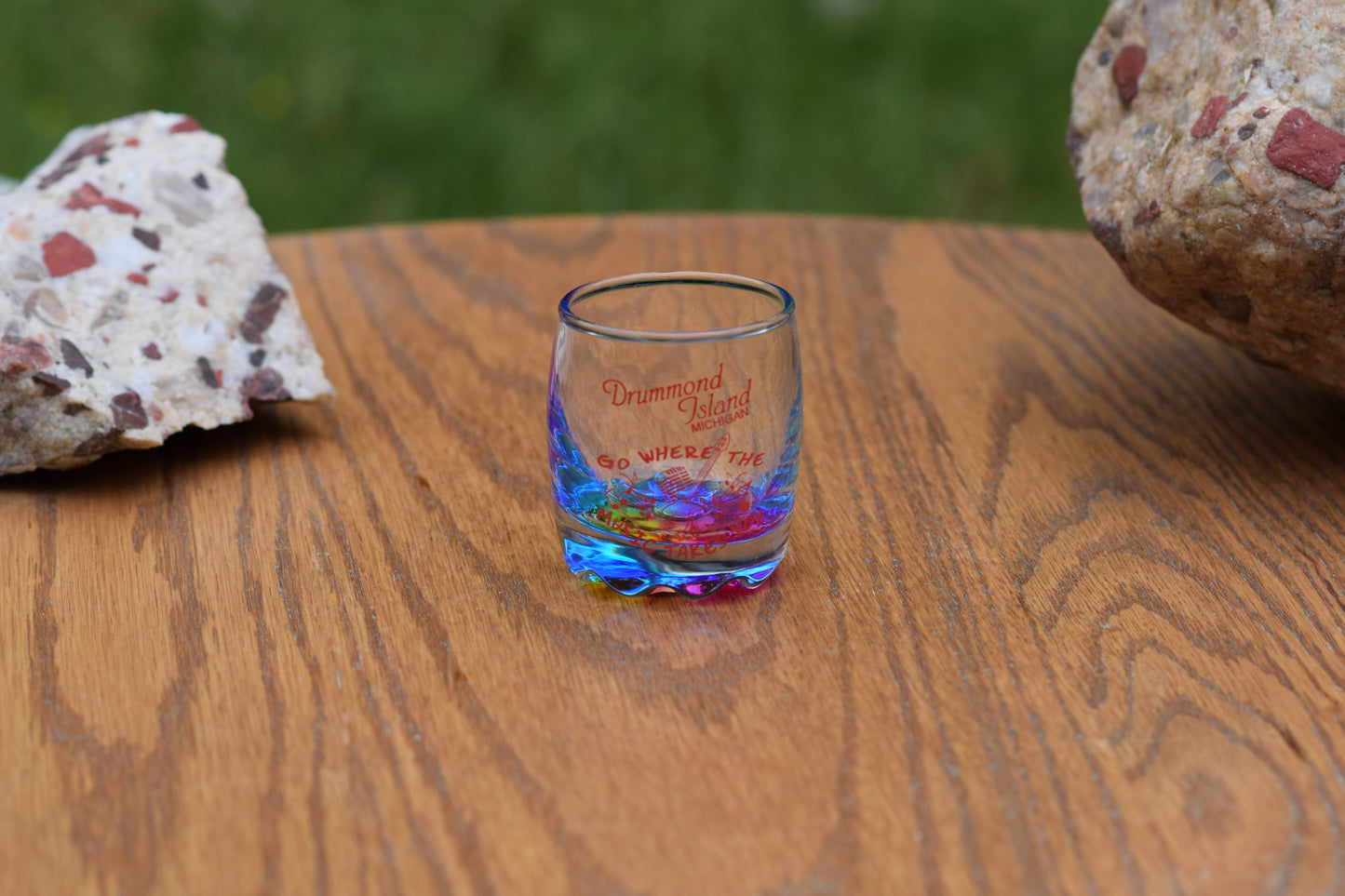 DI "Go Where the Music Takes You" Shot Glass